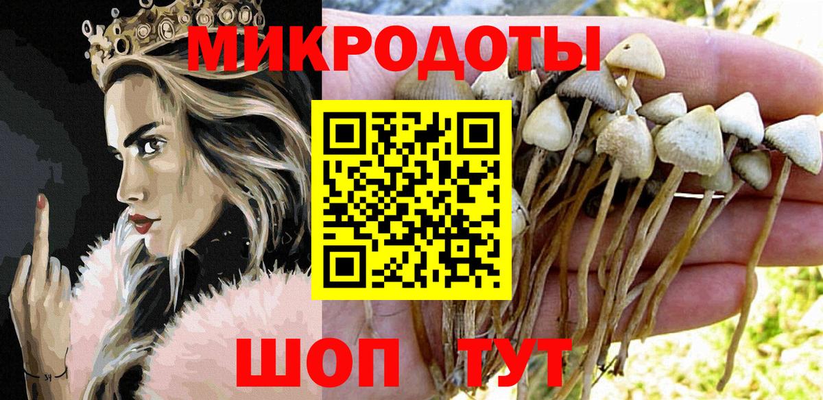 Галлюциногенные грибы MAGIC MUSHROOMS Моздок