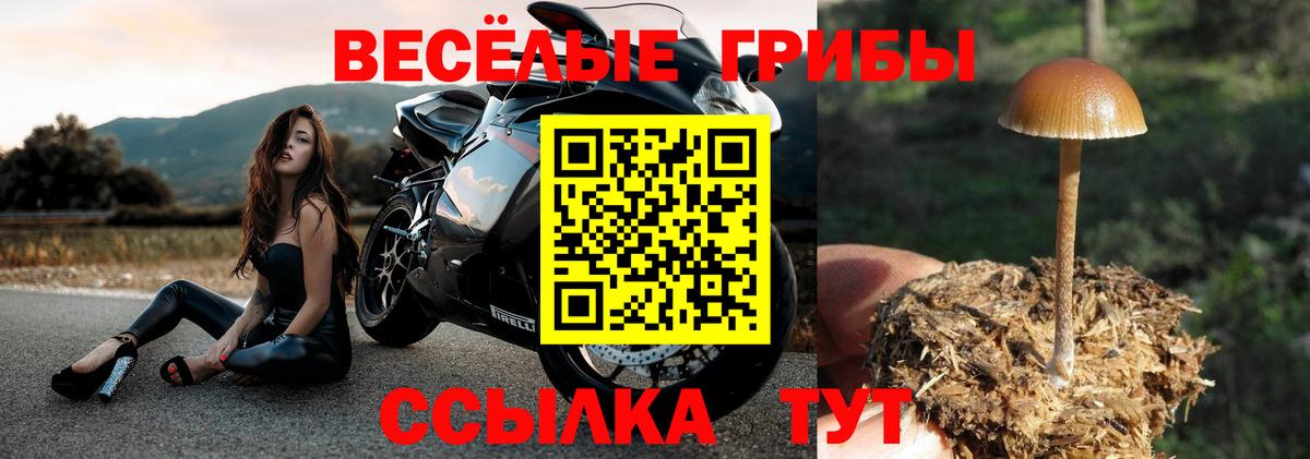 Псилоцибиновые грибы MAGIC MUSHROOMS  Вход с VPN  Моздок 